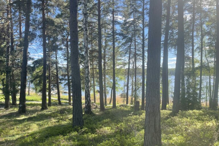 Waxholms Camping - Bild 2 Waxholms Camping - Bild 2