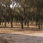 Wecamp Cala Montgó - Bild 10