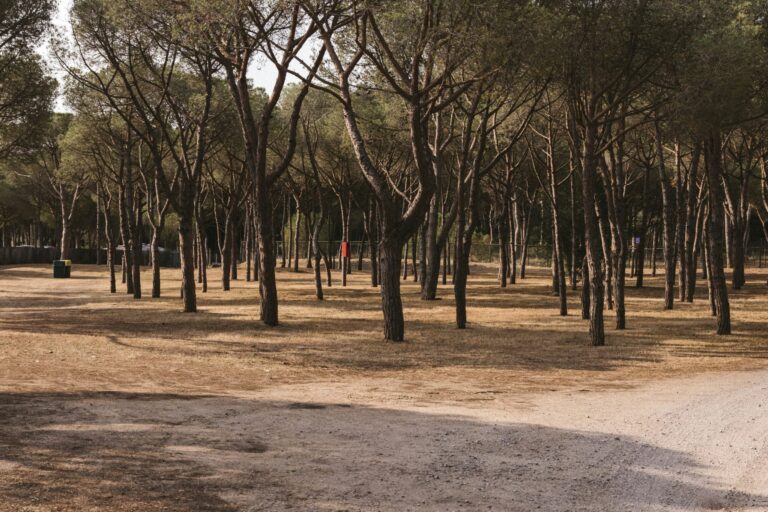 Wecamp Cala Montgó - Bild 10