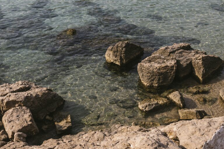 Wecamp Cala Montgó - Bild 5