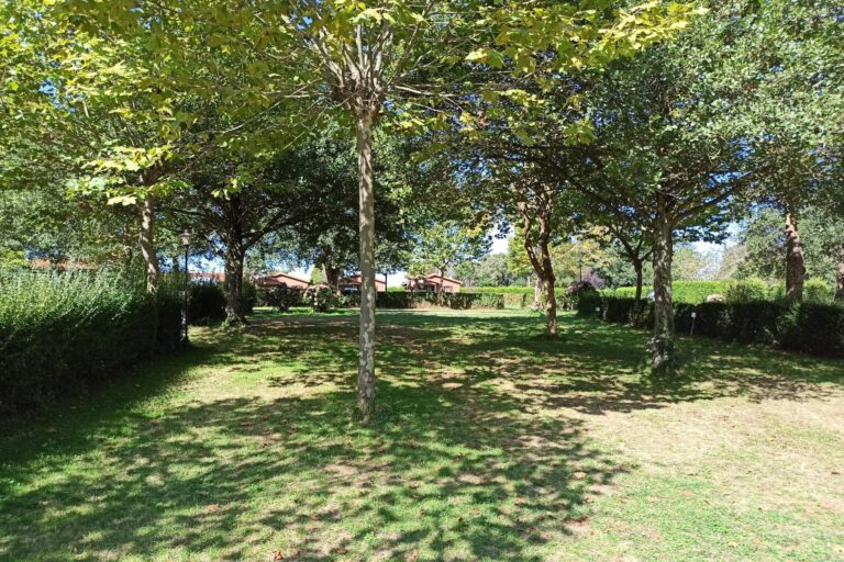 Wecamp Cudillero - Bild 3