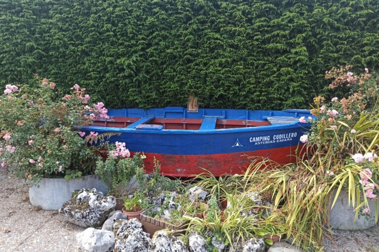 Wecamp Cudillero - Bild 7