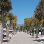 Wecamp Jávea - Bild 6