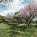 Wecamp Pirineos - Bild 3 Wecamp Pirineos - Bild 3