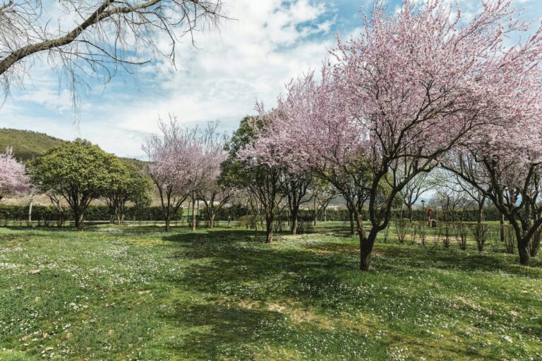 Wecamp Pirineos - Bild 3 Wecamp Pirineos - Bild 3