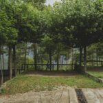 Wecamp pedraforca - Bild 5 Wecamp pedraforca - Bild 5