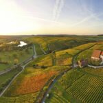 Weingut Römmert - Bild 10