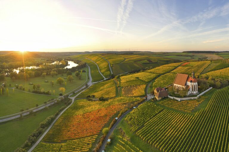 Weingut Römmert - Bild 10