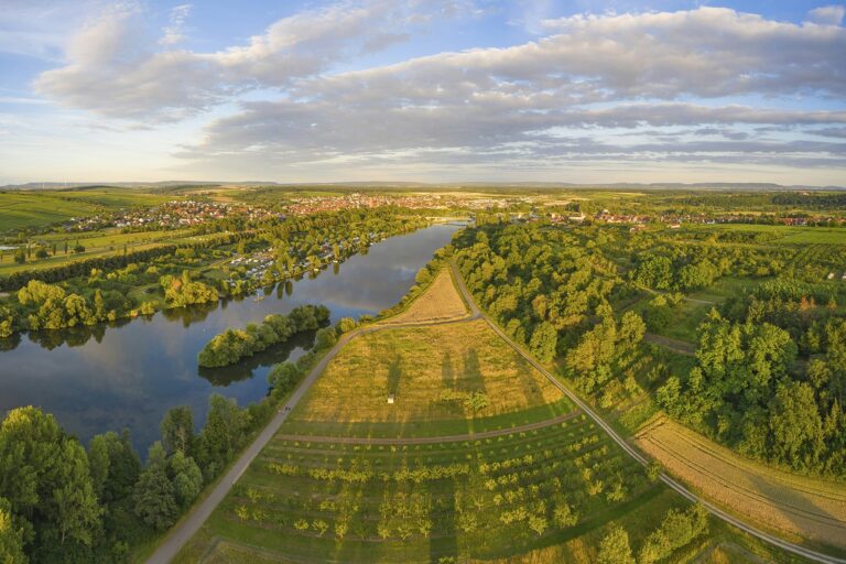 Weingut Römmert - Bild 8