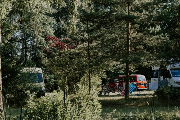 Wildwood Camping Lüneburger Heide - Bild 4