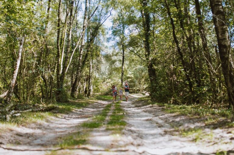 Wilsumer Berge - Bild 2