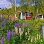 Yxningens Camping & Café - Bild 5