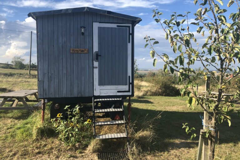 Zeltwiese Löbejün - Bild 10 Zeltwiese Löbejün - Bild 10