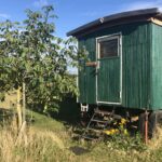 Zeltwiese Löbejün - Bild 12 Zeltwiese Löbejün - Bild 12