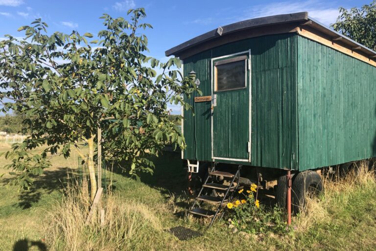 Zeltwiese Löbejün - Bild 12 Zeltwiese Löbejün - Bild 12