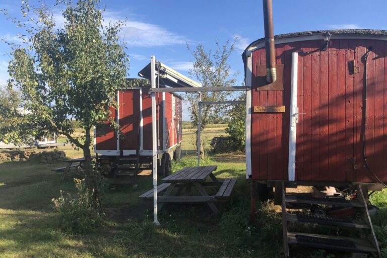 Zeltwiese Löbejün - Bild 15 Zeltwiese Löbejün - Bild 15