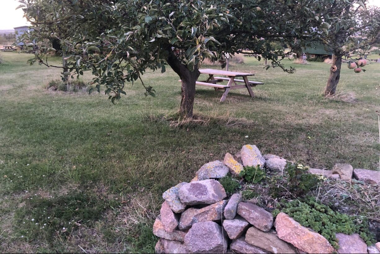 Zeltwiese Löbejün - Bild 2 Zeltwiese Löbejün - Bild 2