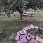 Zeltwiese Löbejün - Bild 2 Zeltwiese Löbejün - Bild 2