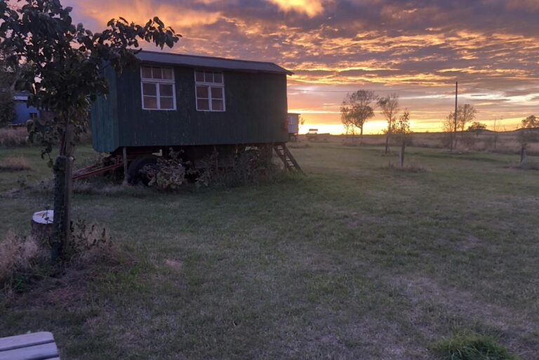 Zeltwiese Löbejün - Bild 8 Zeltwiese Löbejün - Bild 8