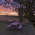 Zeltwiese Löbejün - Bild 1 Zeltwiese Löbejün - Bild 1