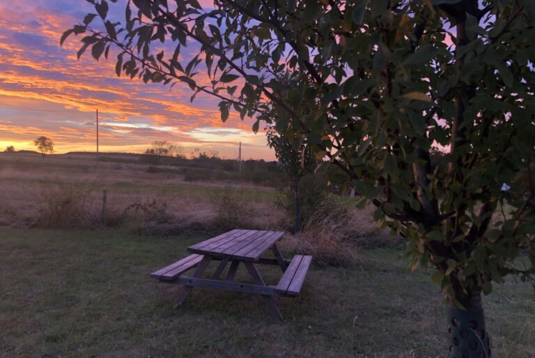 Zeltwiese Löbejün - Bild 1