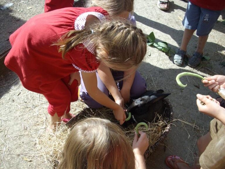 Camping Le Trèfle À 4 Feuilles - Bild 1 Camping Le Trèfle À 4 Feuilles - Bild 1