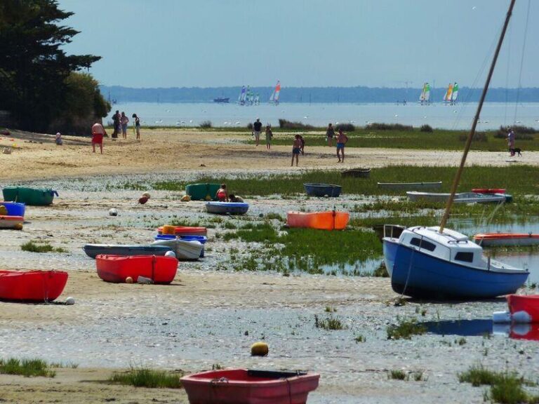 Flower Camping La Canadienne - Bild 1 Flower Camping La Canadienne - Bild 1