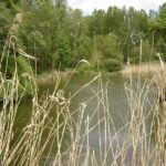 Le Cattiaux Camping - Bild 1