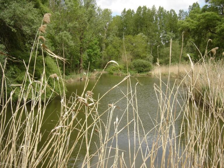 Le Cattiaux Camping - Bild 1